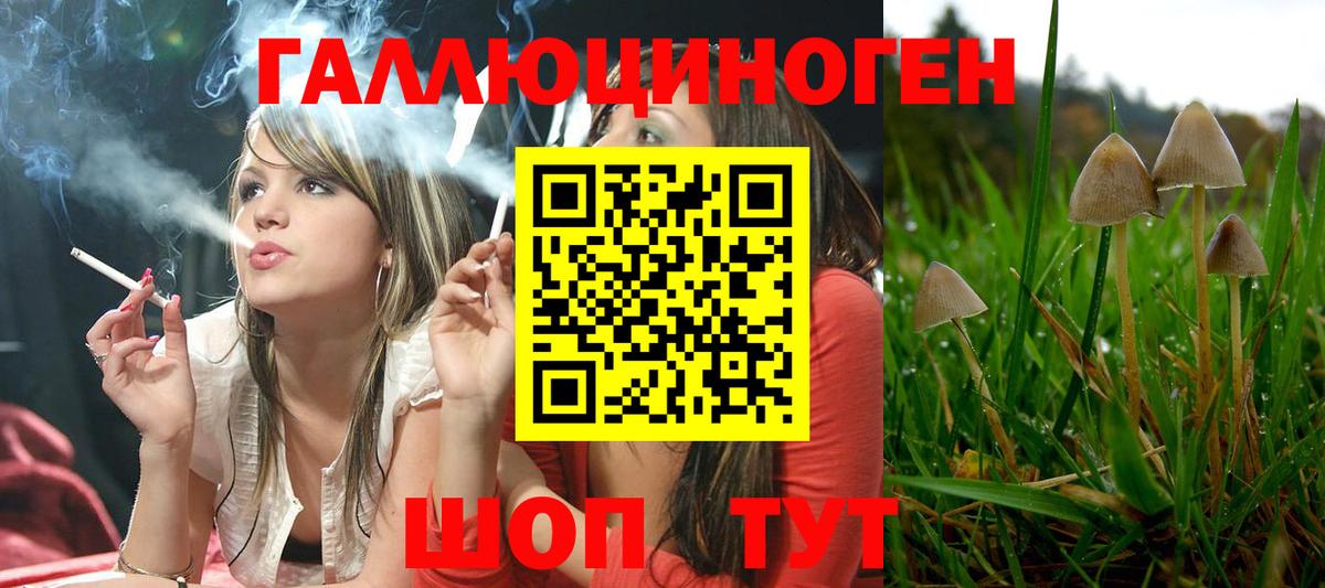Псилоцибиновые грибы мухоморы  Вход с VPN  Клин 